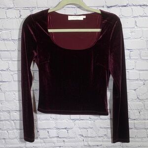Astr Womens Velvet long Sleeve Crop Top in Eggplant Sz M Whimsigoth Fairy Grunge